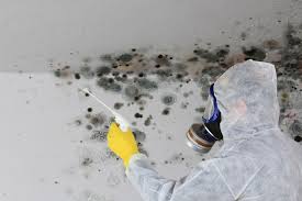  Russell, GA Mold Removal Services Pros